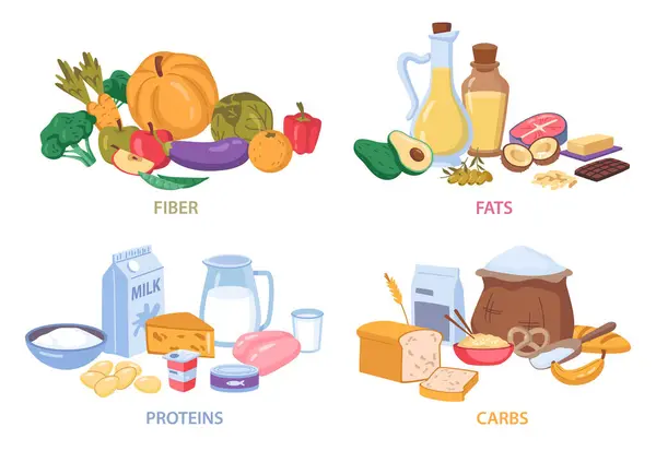 Proteinler Karbonhidratlar Besleyici Gıdalar Plik Yağ Organik Taneler Süt Ürünleri — Stok Vektör