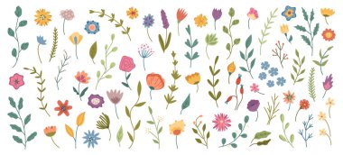 Yaprakları ve çiçekleri olan çiçekçi kompozisyonu, bahar veya yaz çiçekleri. İzole edilmiş bitkiler ve kır çiçekleri, laleler ve gelincikler, papatyalar ve yapraklı dallar ve yapraklar