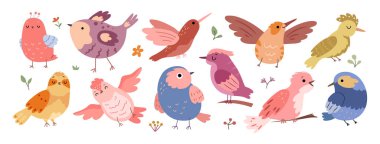 Çiçek tasarım elementleriyle çevrili, uçan ve dallarda oturan tatlı bahar kuşları karakterleri. Süslü çiçek çiçekleri ve bitki dalları olan taşıyıcı kuş bahçesi sakini koleksiyonu
