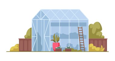 Sebze ve bitki yetiştirmek için sera. Çiçek saksısı, bahçe ve çiftçilik hobisi olan bir cam ev. Organik doğal ürünlerin üretimi, egzotik çiçekler, çiçekçi portakallar.