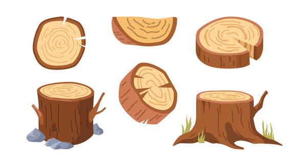 Stumps in winter and spring seasons, round cut timber with annual rings in cartoon style. Vector isolated wood logs, trunks and plank. Wooden firewood. Hardwoods and construction materials