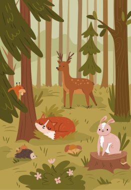 Vahşi hayvanları, köknar ağaçlarını, yeşil çimenleri ve çalıları olan sevimli bir orman. Vahşi tilki, tavşan ve sincap, elmalı kirpinin vektör çizimi. Manzara, park manzarası.