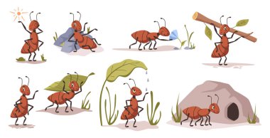 Karıncalar çalışıyor ve boş vakitleri var. Antenli şirin koloni yaratıkları. Yaprak ve yaprak taşıyan işçi, karınca yuvasına giden böcek. Vahşi yaşam ve ekosistem. Doğa ve doğa.