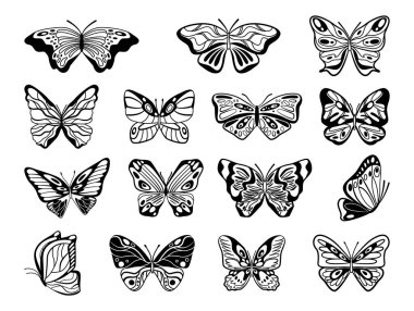 Kelebek siluetleri. Vektör izole edilmiş tek kanatlı böcek antenli, uçan bahar ve yaz güvesi koleksiyonlu. Kanatlı yaratıklar, bitki tozlaştırıcılar. Vahşi yaşam, hayvan ve çevreleme