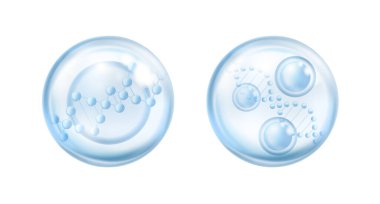 DNA yapısına sahip su ya da kolajen serumu kabarcığı, nemlendirici ve yenilenen kozmetik molekülü. Vitamin ve minerallerle izole edilmiş gerçekçi bir damlacık, sağlıklı cilt bakımı için esans.
