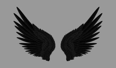 Siyah gerilmiş kanatlı çift, izole edilmiş gerçekçi tüyler. Fantezi yaratığının veya hayali kişiliğin taşıyıcı parçası. Kuş ya da hayvan gövdesi tüylü ve alçalan, şahin ya da karga