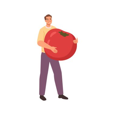 Kırmızı olgun sebze yemeği taşıyan ufak tefek bir adam. Market ürünü olan bir erkek, vejetaryen sağlıklı yiyeceği olan küçük bir erkek. Büyük domates hasadı olan genç insan, düz çizgi film vektör çizimi