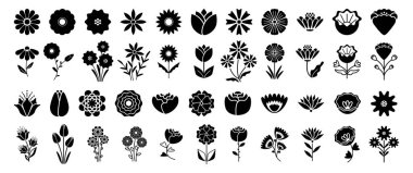 Tek renkli flora dekoru koleksiyonunda orman ve kır çiçekleri. Tomurcukları, sapları ve yaprakları olan taşıyıcı çiçekler. İzole edilmiş zinya, güller ve laleler, papatyalar ve çuha çiçekleri, çiçek ve yıldız çiçekleri.