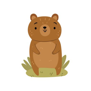 Çimlerin üzerinde duran orman kahverengi ayısı, çocuklar için sevimli bir oyuncak. Vektör komik çocuksu kostüm, düz çizgi film vektör çizimi sevimli ayı memelisi, vahşi hayvanlar içinde yaşayan sevimli yaratık.