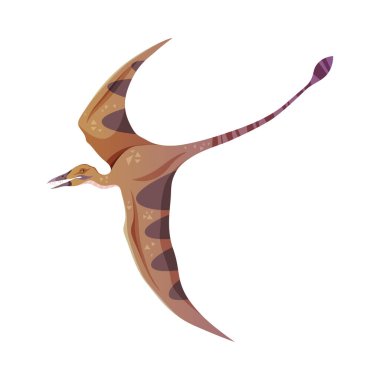 Mezozoik dönemden kalma soyu tükenmiş bir hayvan, izole edilmiş bir Pterodactyl veya Pterosaurs dinozoru. Uçan kanatları olan dino bir vektör karakter. Uzun kuyruklu sürüngen, yırtıcı ya da otçul türü.