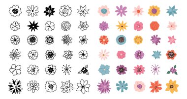 Çiçekli dolgunluk koleksiyonu, izole edilmiş renkli ve tek renkli çiçekler. Bitkilerin mevsimsel gelişimi. Bitkilerin biyolojik çeşitliliği. Botanik süslemeler, sezon dekorları