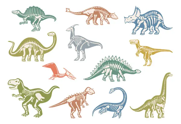 Dinozor iskeletleri Jurasik dönemin başlarından kalma. Vektör, tarih öncesi zamanların hayvanlarını ve biyolojik çeşitliliğini izole etti. Çene, pençe ve uzun kuyruklu soyu tükenmiş dinozor kemikleri. Nainsan hayatının çeşitliliği