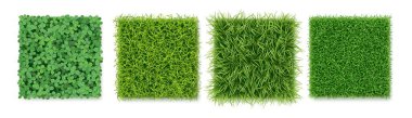 Taze yeşil bıçaklı üst manzara çimen dokusu. Vektör peyzaj tasarımı veya oyun ortamları. Tarla ya da çayır, çimen ya da çayır. Yeşillik koleksiyonu, vahşi doğa ve bahçe çimenliği çeşitliliği