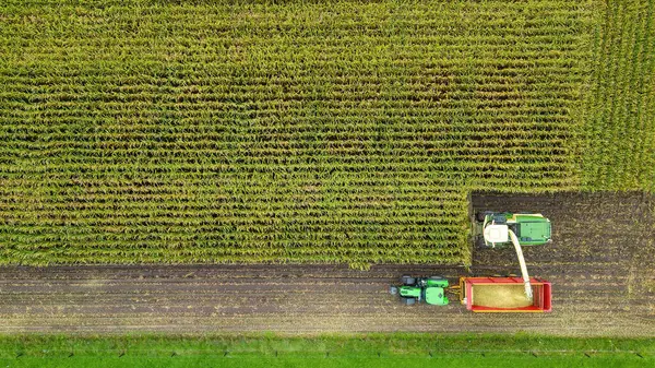Helicóptero Está Colhendo Campo Milho Final Verão Nos Países Baixos — Fotografia de Stock