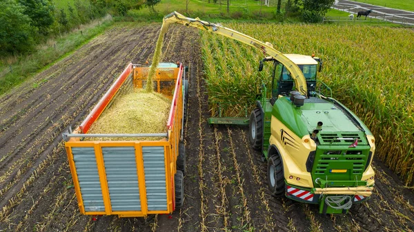 荷兰夏末 一架直升机正在收获一片玉米地 — 图库照片