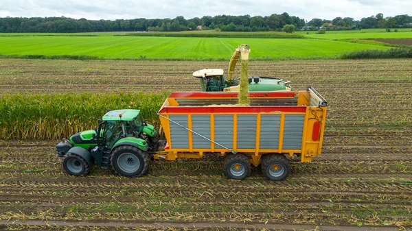 オランダの夏の終わりにチョッパーがトウモロコシ畑を収穫しています ストック画像