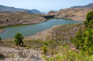 Ninas Kanarya Adası 'nın Kanarya Adası' ndaki en büyük iki rezervinden biridir.