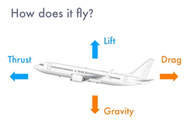 Infographic explaining how airplanes generate lift and fly clipart