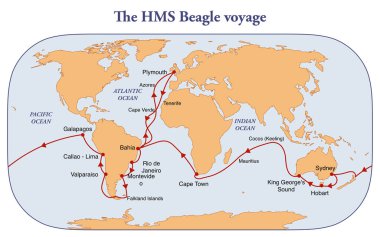HMS Beagle 'ın dünya turu rotası.
