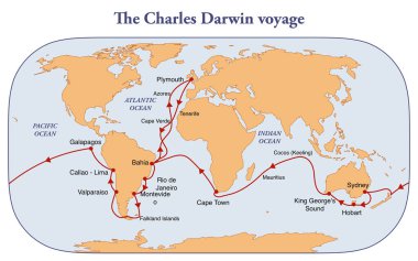 Charles Darwin 'in HMS Beagle ile yolculuğunun rotası