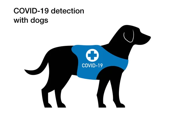 Deteksi Coronavirus Covid Dengan Mengendus Anjing — Stok Foto