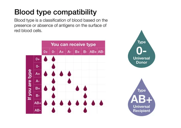 Chart Explaining Compatibility Different Blood Types Humans — Stock Photo, Image