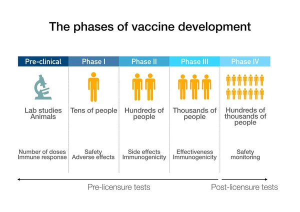 Διάφορες Φάσεις Και Κλίμακες Ανάπτυξης Του Εμβολίου Του Κορωνάβιου — Φωτογραφία Αρχείου
