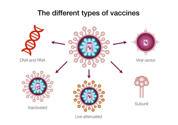 Διάφοροι Τύποι Εμβολίων — Φωτογραφία Αρχείου