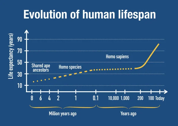 纵观整个历史 人类预期寿命的演变 — 图库照片