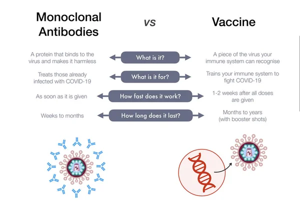 Σύγκριση Μεταξύ Μονοκλωνικών Αντισωμάτων Και Εμβολίων Για Την Καταπολέμηση Του — Φωτογραφία Αρχείου