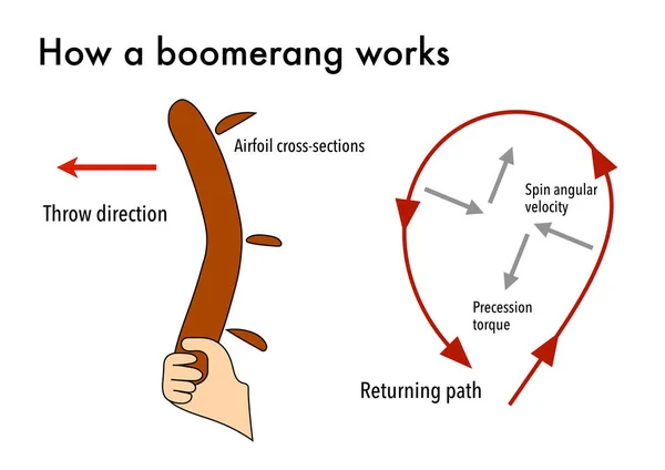 How Boomerang Works Return Back Its Sender — Stock Photo, Image