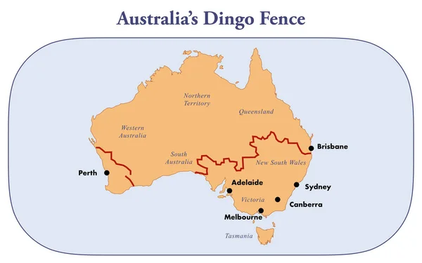 Karte Des Dingo Zauns Australien — Stockfoto