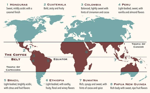 コーヒーベルトとして知られる世界の面積は 主要なコーヒー生産国が含まれています — ストック写真