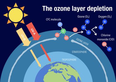Ozon tabakasının tükenmesini açıkladı