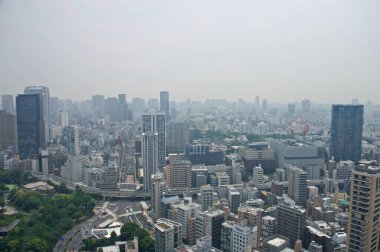 Tokyo ufuk çizgisinin havadan görünüşü, Japonya