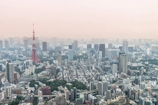 Vista Aérea Del Horizonte Tokio Japón —  Fotos de Stock