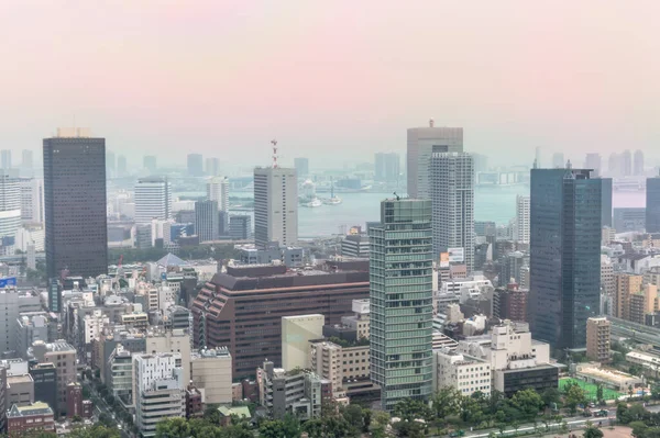 Luftaufnahme Der Skyline Von Tokio Japan — Stockfoto