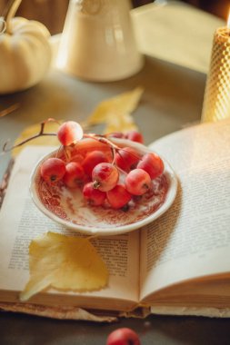 Sonbahar natürmortu, eski tarz, kitap masanın üstünde.