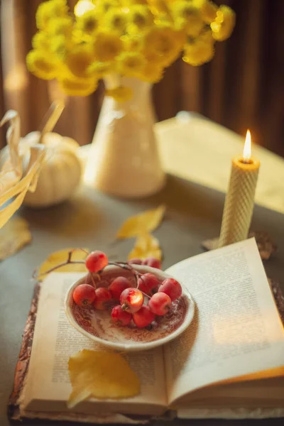 Syksyllä Asetelma Vintage Tyyli Kirja Pöydällä — kuvapankkivalokuva