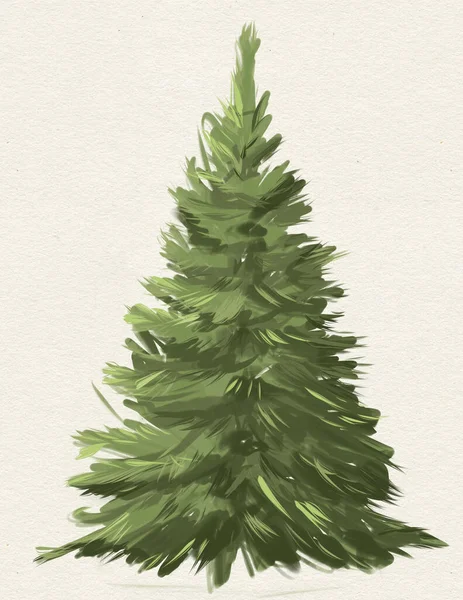 Christmas tree drawing, holiday card, Christmas fir