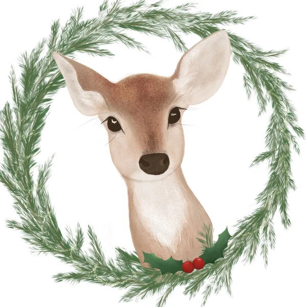 Illustration Cute Forest Animal Deer Frame Fir — Stock Photo, Image
