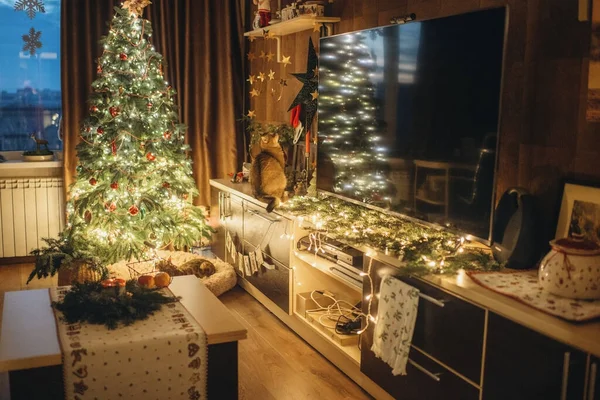 Haustier Ingwerkatze Festlicher Weihnachtsatmosphäre Weihnachtliche Einrichtung — Stockfoto