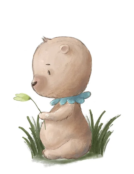 Bear cartoon drawing, cute cute teddy bear, illustration for children's book or nursery