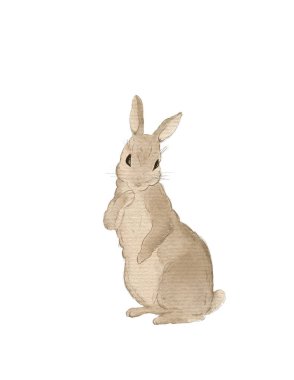 drawing of a cute animal on a white background, clipart for children's book, greeting card, children's stickers