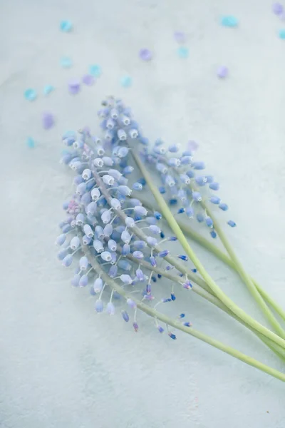 背景是花 宏观蓝色的花背景 — 图库照片