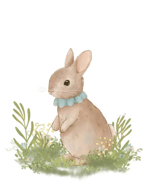 Pastel Klasik Tavşan Çizimi Paskalya Tavşanı Pejmürde Şık Çizimler — Stok fotoğraf