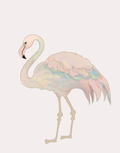 Pastell Vintage Ritning Flamingo Med Regnbågsvingar — Stockfoto