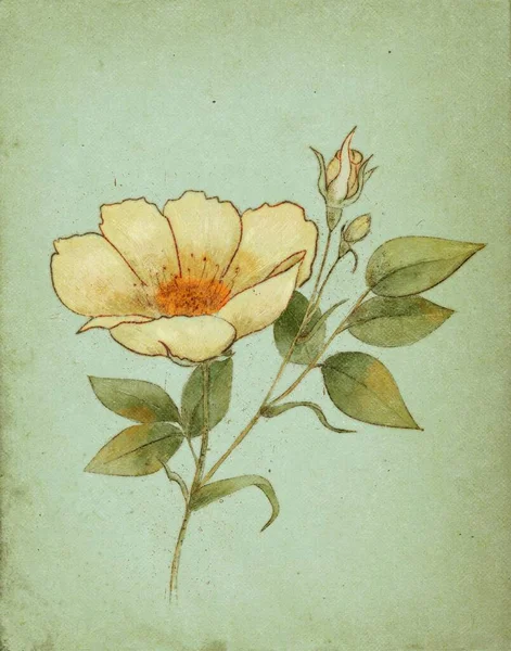 Akvarel Vinobraní Ilustrace Růžové Větve Nebo Divoké Růže — Stock fotografie