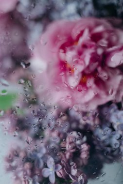 Mor taze çiçekler, leylak, buket çiçekler zarif.