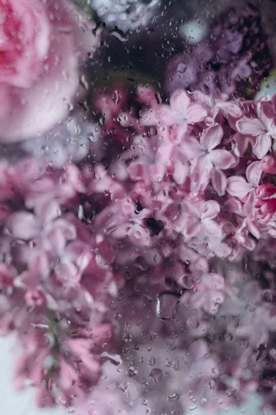 Фиолетовые Свежие Цветы Сирень Букет Цветов Элегантный — стоковое фото
